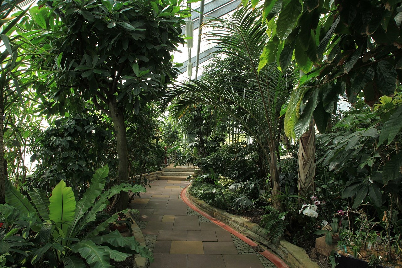 Rombergpark